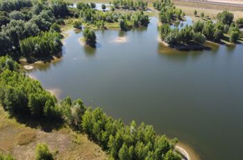 Huelskens Sediments | Verlandung 4